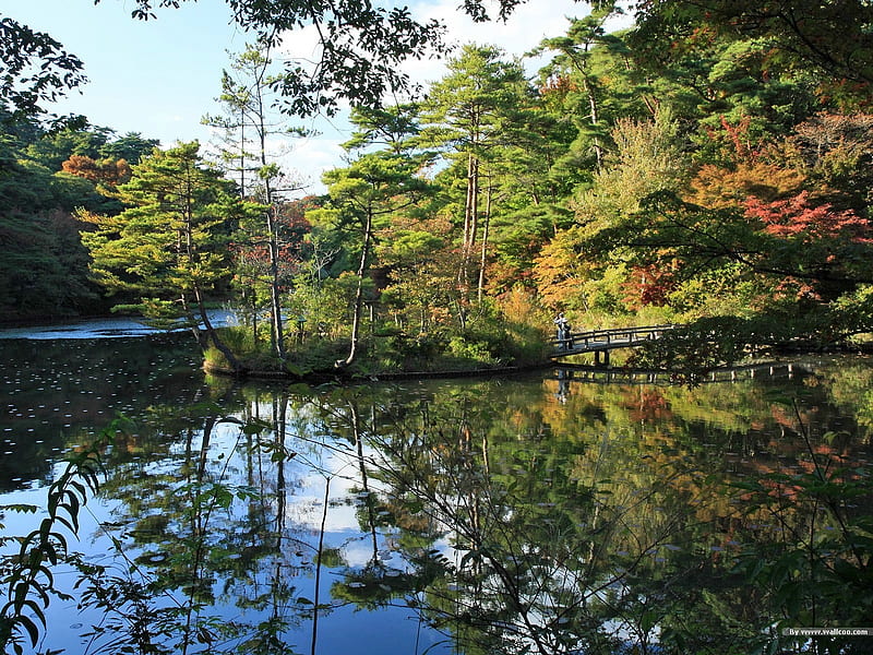 Autumn lake and Maple- Japanese garden art landscape, HD wallpaper
