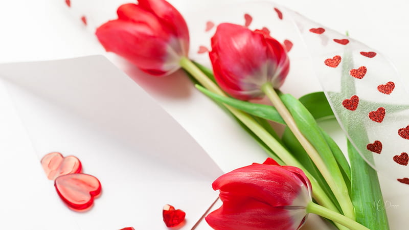 Tulips and Hearts, Valentines Day, ribbon, flowers, spring, tulips, corazones, Firefox Persona theme, HD wallpaper