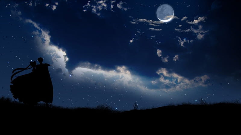 Under the Moon, pretty, ce, shade, prince, sweet, nice, love, anime, sailor  moon, HD wallpaper | Peakpx