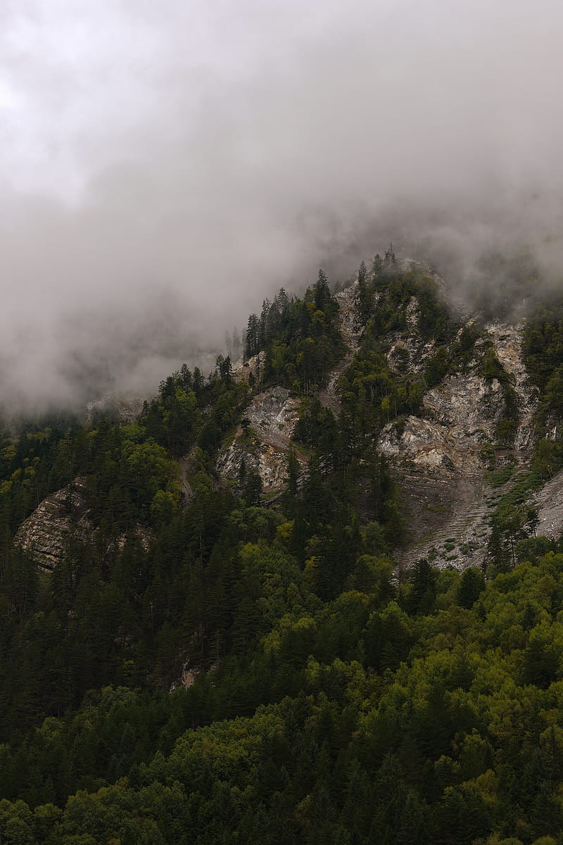 mountains, rocks, forest, trees, fog, clouds, HD phone wallpaper