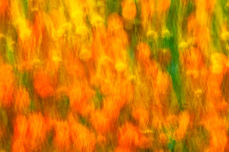 Flammability, colorful, abstract, orange, HD wallpaper