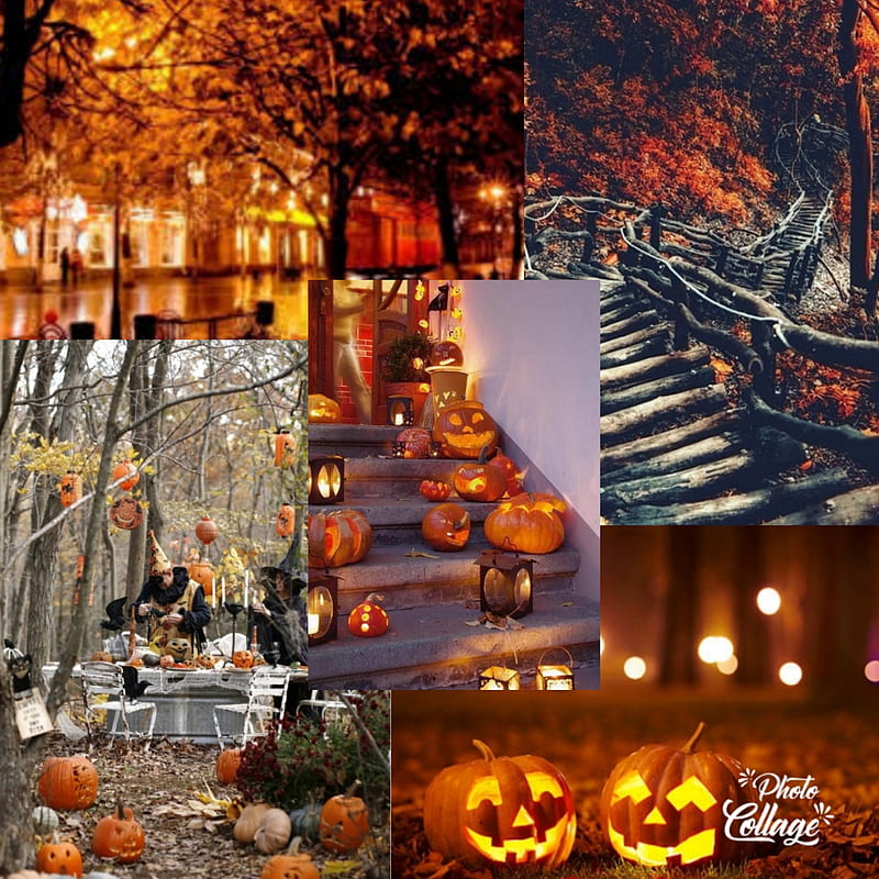 Halloween, fall, pumkin, HD phone wallpaper