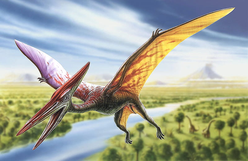 Dinosaur, wings, dino, adrian chesterman, fantasy, HD wallpaper