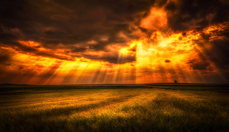 Heaven's Symphony, grass, golden, sunbeams, bonito, sky, clouds, mystic, prairie, heaven, sun rays, field, HD wallpaper