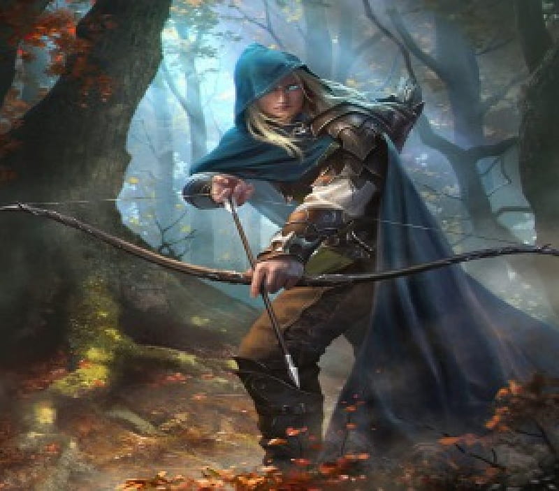 Elf Archer, male, archer, elf, woods, HD wallpaper