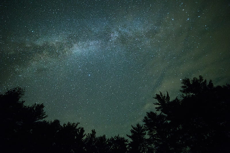 starry sky, night, trees, dark, milky way, HD wallpaper