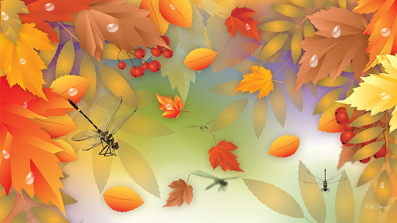 Autumn Bliss, colorful, fall, autumn, maple, mountain ash, sky, leaves, dragonflies, oak, rain, dew drops, light, HD wallpaper