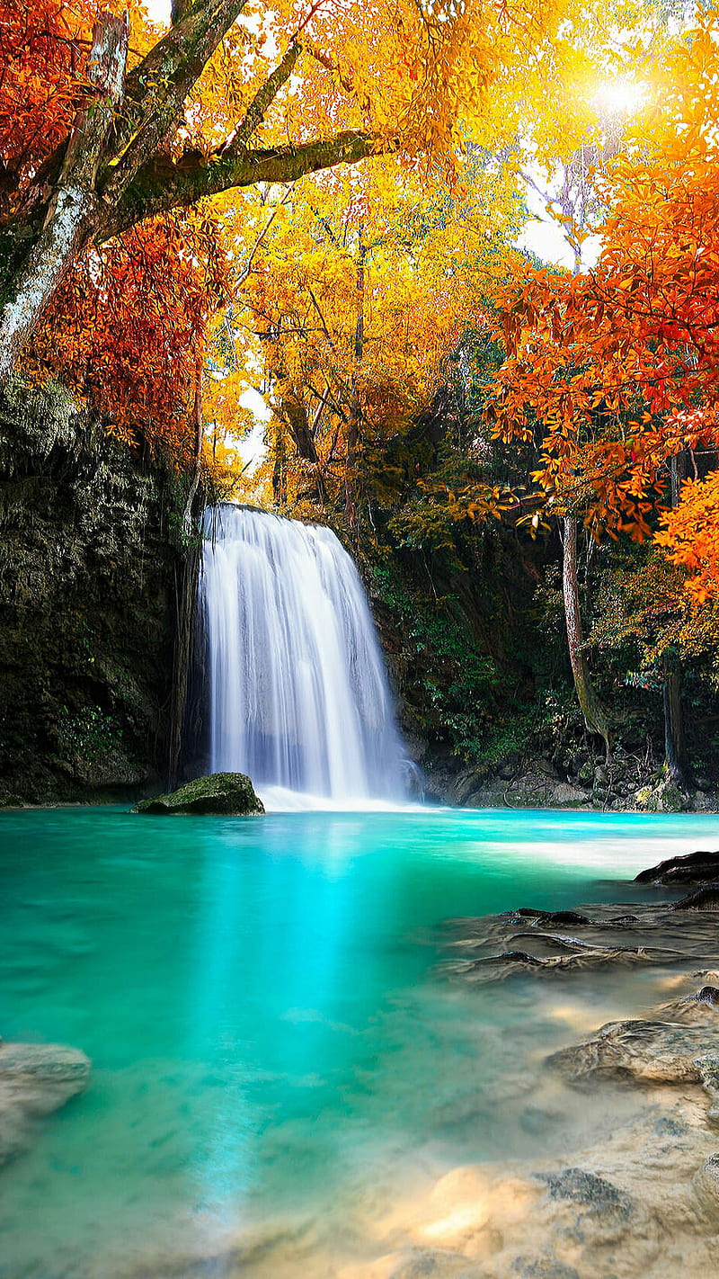 water fall, nature, river, tree, HD phone wallpaper