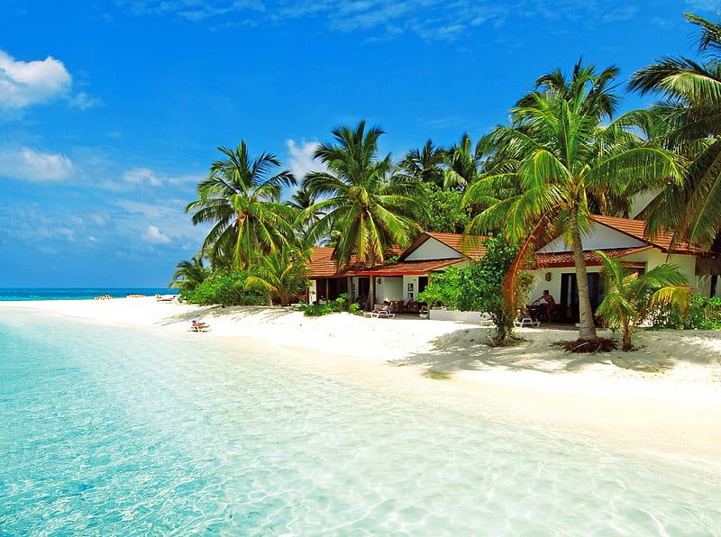 Moorea, South Pacific, huts, sand, water, white, sea, palms, HD wallpaper