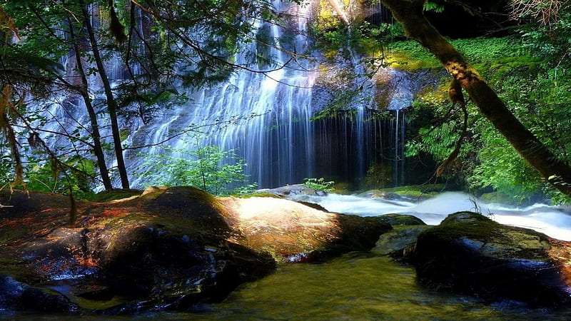 Forest Waterfall, forest, water, waterfall, nature, cascade, HD ...