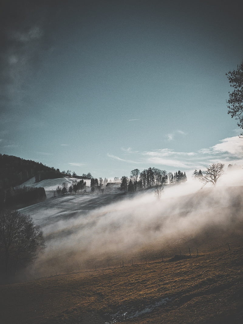mist, trees, winter, hill, HD phone wallpaper