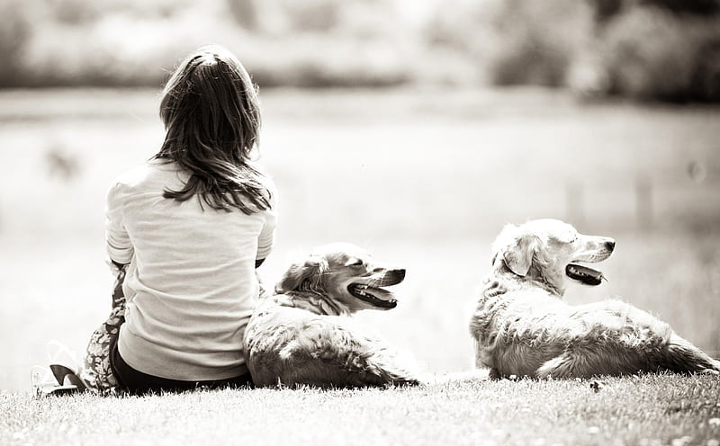 *, rest, graphy, bw, girl, relax, woman, dogs, HD wallpaper