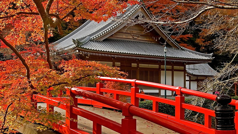 Temple, tree, japan, house, bridge, awesome, nature, trees, HD wallpaper