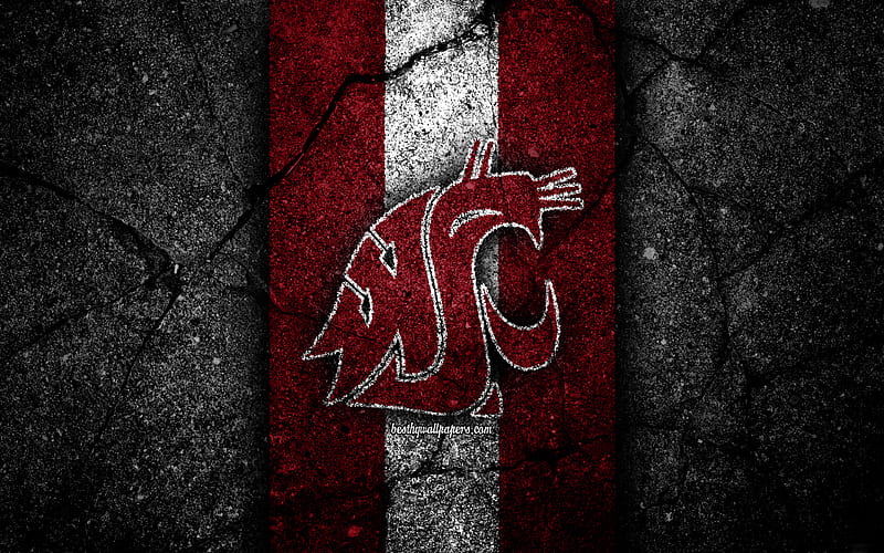 Washington State Cougars american football team, NCAA, purple white stone, USA, asphalt texture, american football, Washington State Cougars logo, HD wallpaper