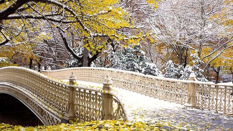 Snow Covered Bridge And Fall Yellow Leaves Tree Branches Fall, HD wallpaper