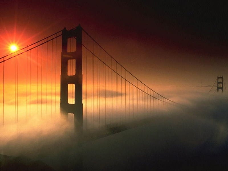 Golden Gate Bridge, sun, bridge, high, fog, HD wallpaper