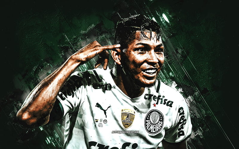 Rony, Palmeiras, portrait, Brazilian footballer, Sociedade Esportiva Palmeiras, Ronielson da Silva Barbosa, HD wallpaper