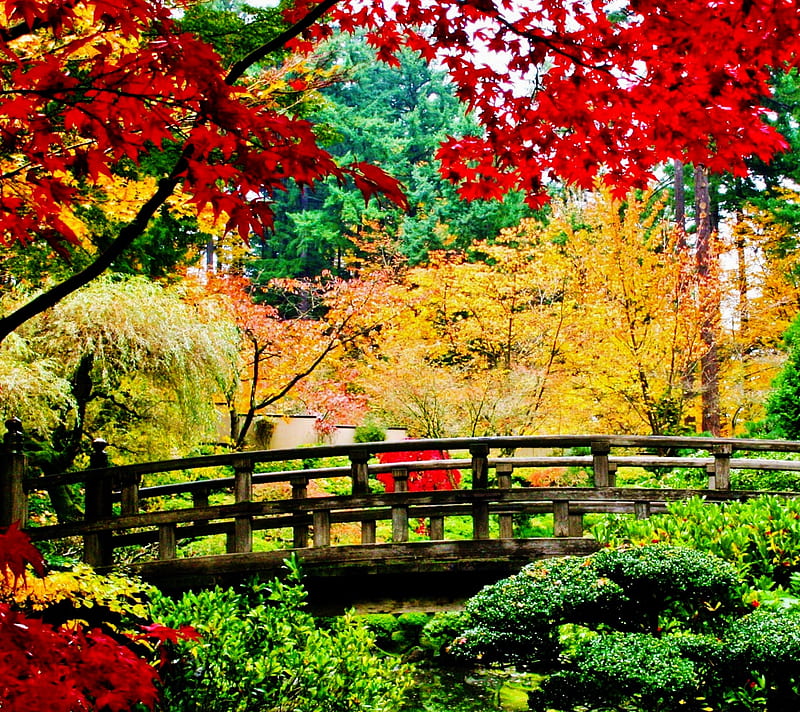 China nature, autumn, bridge, forest, landscape, river, trees, HD wallpaper
