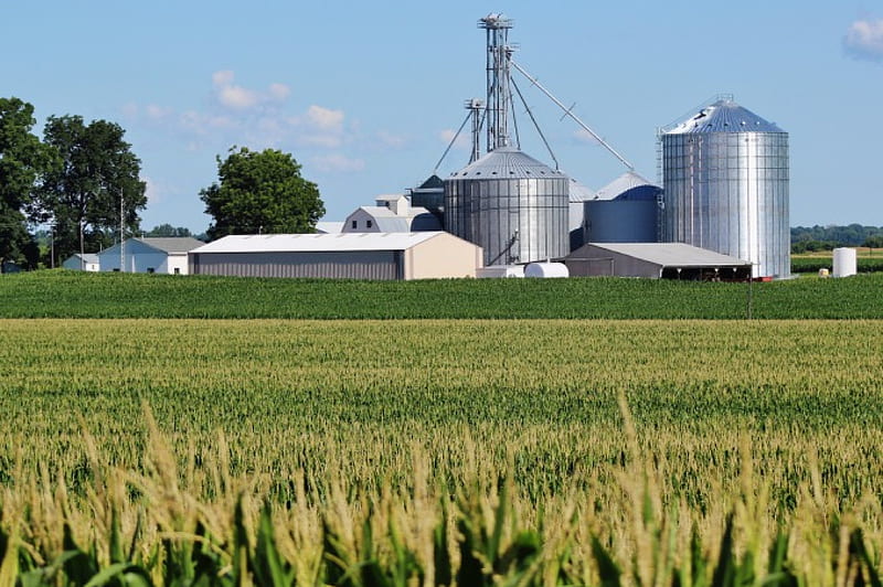 Indiana Farm, Silo, Indiana, Farm, Corn, HD wallpaper