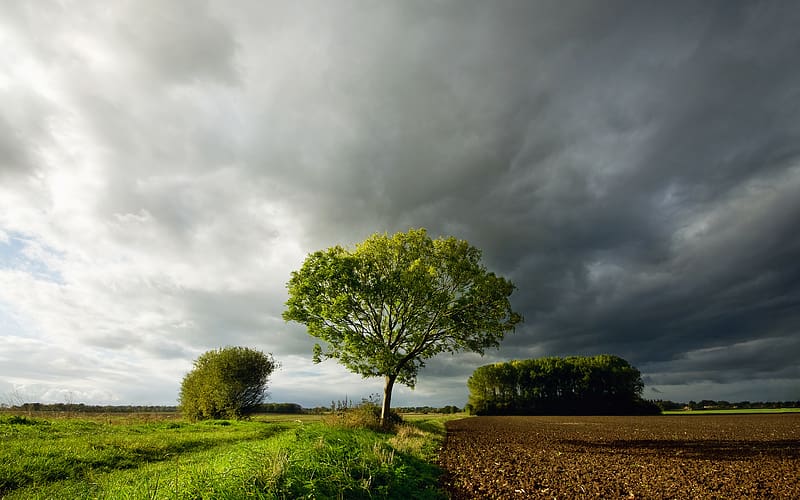 Landscape, Sky, Tree, , Cloud, Farm, Scenic, HD wallpaper