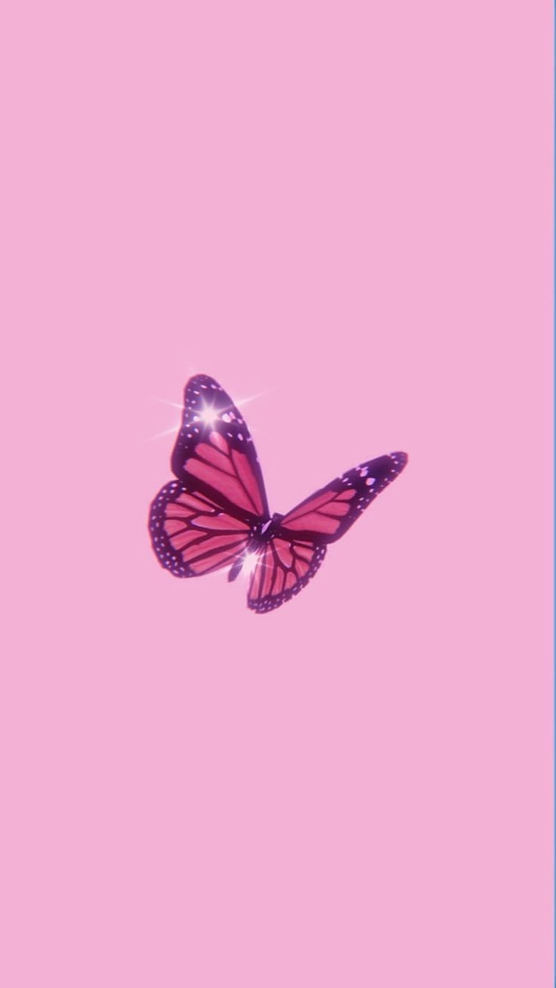 Rosa, mariposa, Fondo de pantalla de teléfono HD | Peakpx