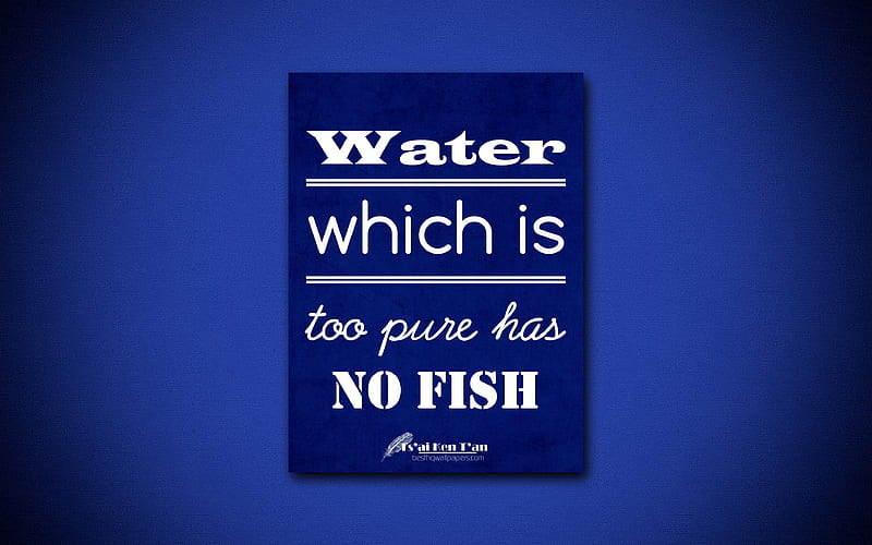 Water which is too pure has no fish, quotes about water, Tsai Ken Tan, blue paper, popular quotes, inspiration, Tsai Ken Tan quotes, HD wallpaper