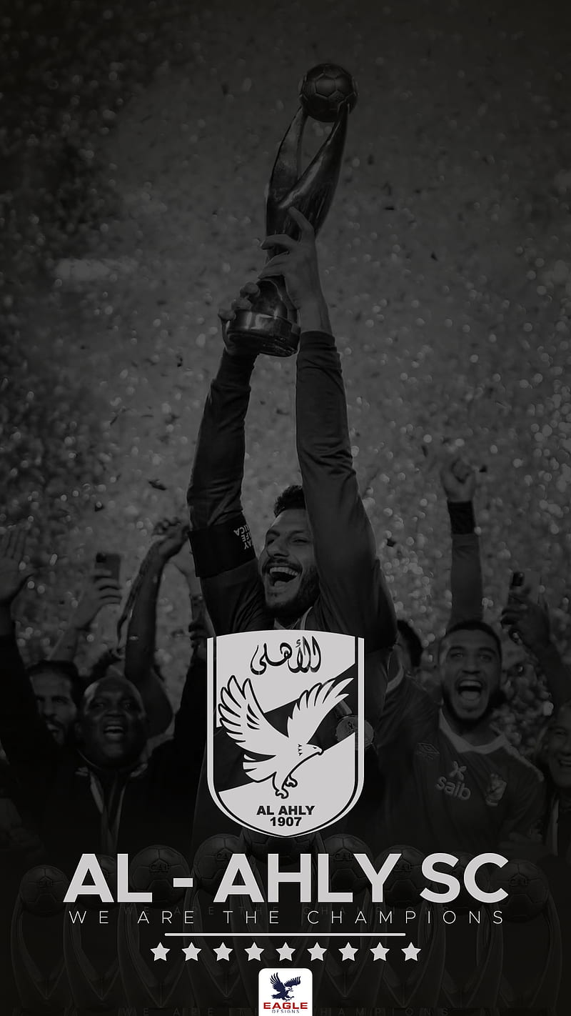 we are the champions, ahlawy, ahly, al ahly, al-ahly, alahly, el ahly, el-ahly, elahly, ultras, HD phone wallpaper