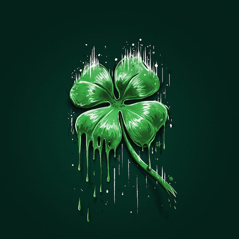 HD lucky plant wallpapers  Peakpx