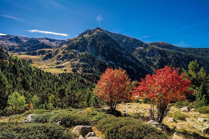 Autumn Pyrenees, fall, hills, Pyrenees, mountain, tree, view, bonito, Andorra, autumn, HD wallpaper