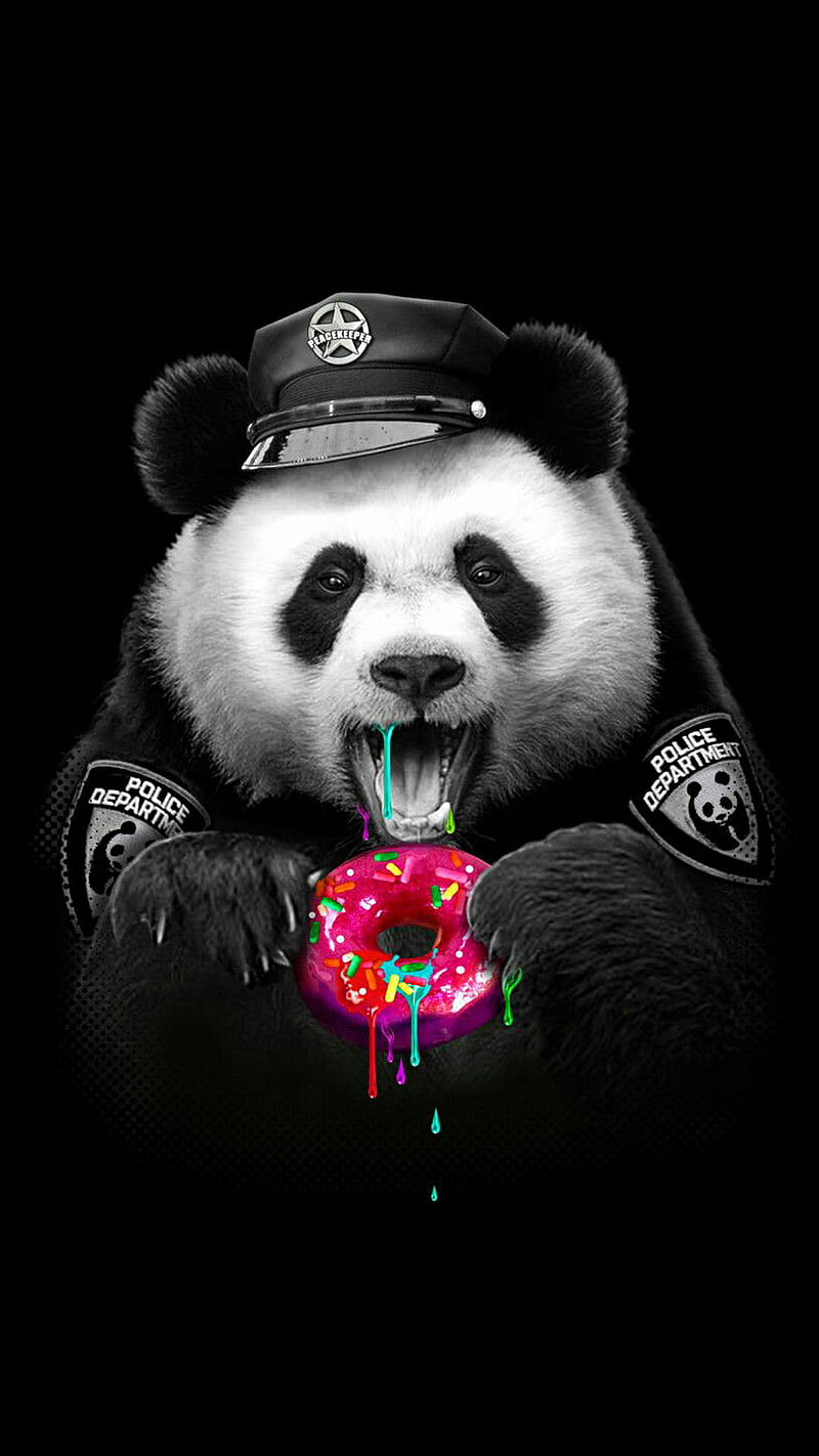 yummy, animal, bear, donuts, food, hungry, panda, police, HD phone wallpaper