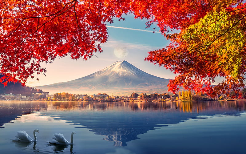 Mount Fuji, japan, Fujisan, autumn, red trees, volcano, mountain landscape, HD wallpaper