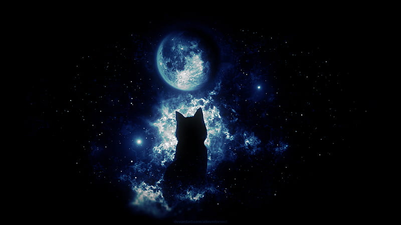 cat, silhouette, moon, starry sky, art, fantasy, HD wallpaper