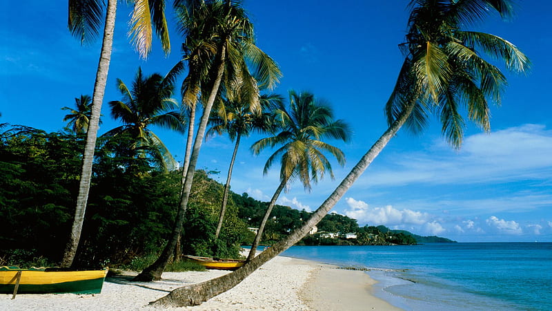 Tropical Paradise, houses, palm, bonito, trees, sky, sea, beach, boats, calm, sandy, coastline, blue, HD wallpaper