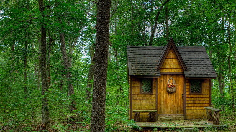 1080P free download | A fairy tale cabin in the forest, forest, cabin ...