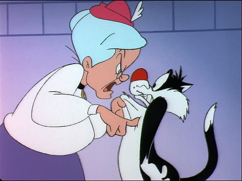 Poor Sylvester, sylvester, granny, bugs bunny show, cartoon, cat, HD wallpaper