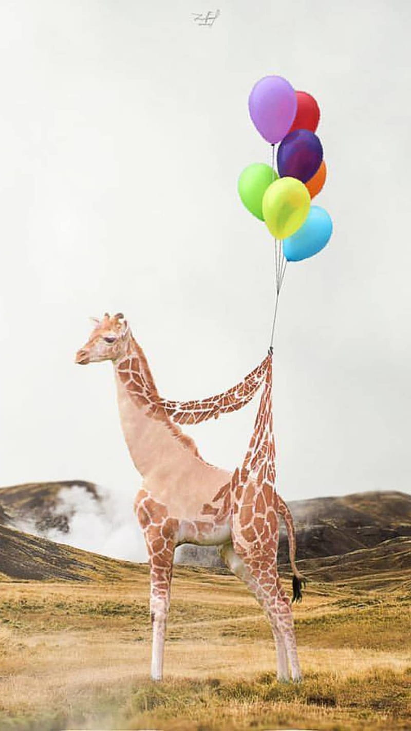 Giraffe, balloon, balloons, animal, anime, , giraffes, nature, love, HD  phone wallpaper | Peakpx