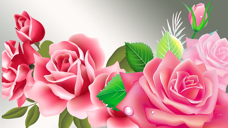 Roses Pink on Silver, exotic, summer, flowers, spring, roses, silver, pink, Firefox Persona theme, HD wallpaper