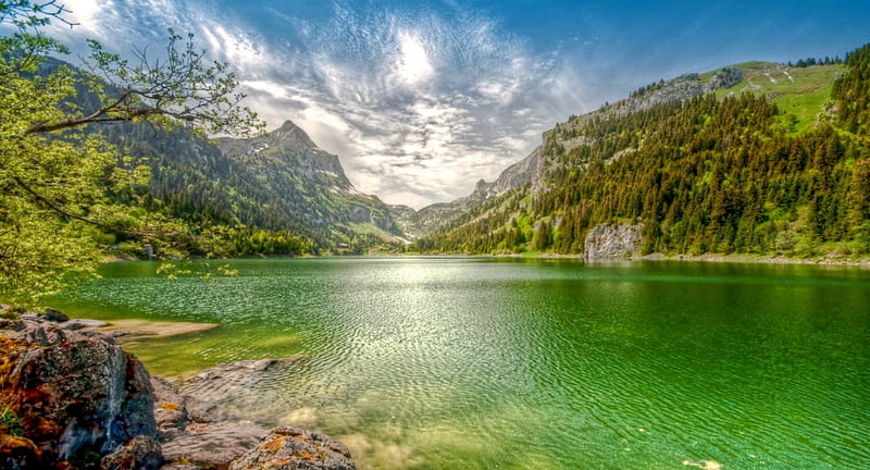 Lake Tanay, Swiss Alps, forest, lakes, grass, bonito, trees, clouds, green, mountains, summer, blue, HD wallpaper