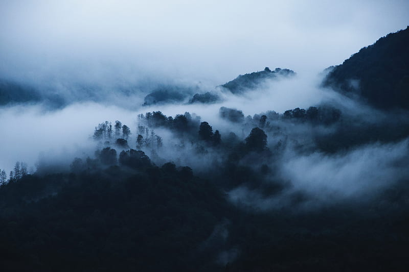 mountains, fog, clouds, trees, landscape, HD wallpaper