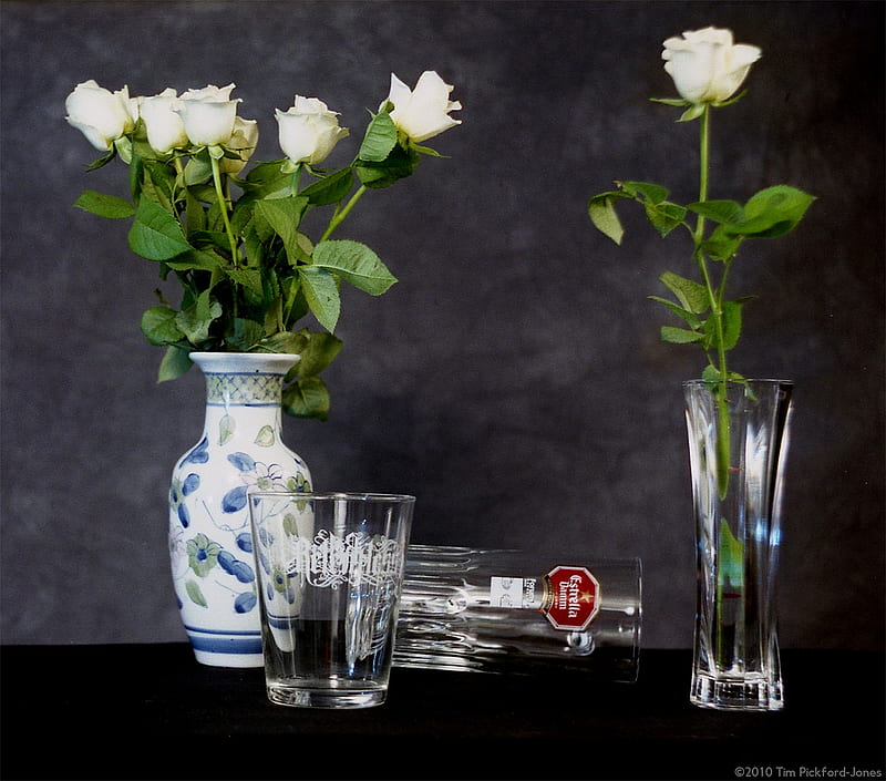 Glass and Roses, glasses, still life, vases, white roses, HD wallpaper