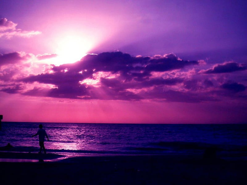 Purple Beach., setting, the, seems, sun, HD wallpaper