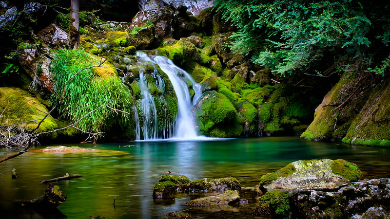 Green Covered Rocks With Green Trees Between Waterfall Nature, HD wallpaper