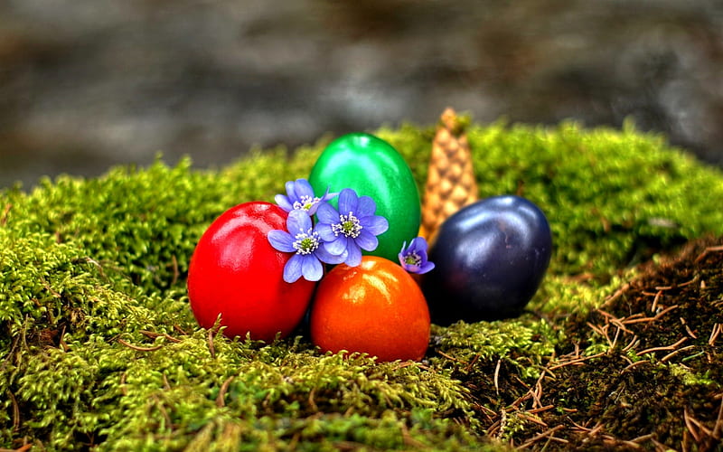 EASTER BLESSINGS, Easter, eggs, moss, flowers, pine cone, HD wallpaper