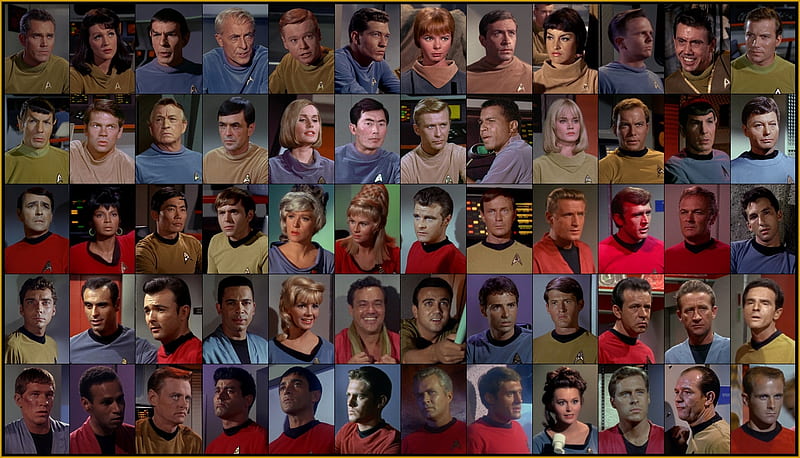 Original Star Trek Starfleet Personnel and Crew - Part One, Sulu, Kirk, Uhura, Star Trek, McCoy, Spock, HD wallpaper