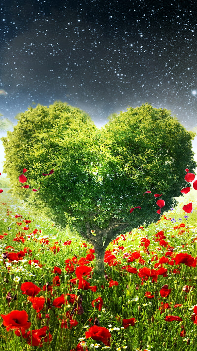 coeur arbre, green, heart, nature, red, tree, HD phone wallpaper
