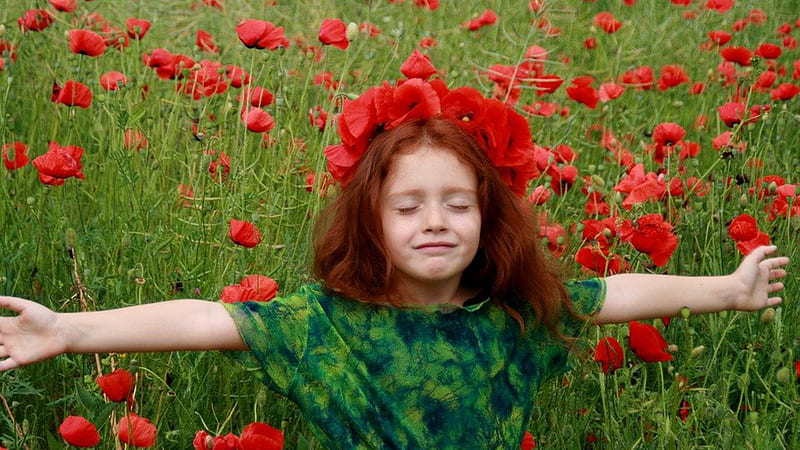 Cute Little Girl Is Standing In Common Red Poppy Flowers Field Wearing Green Blue Dress Cute, HD wallpaper