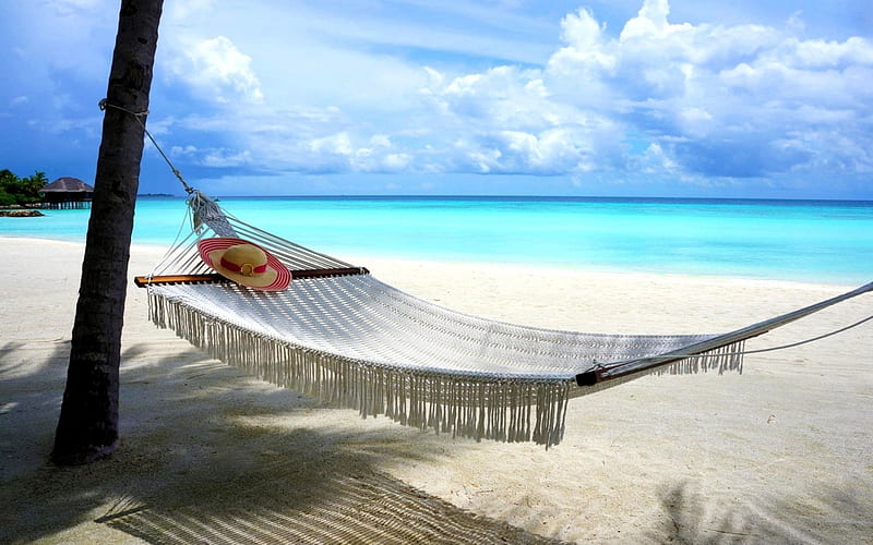 Beach Hammock, isle, shore, holidays, sun, bungalow, palm, hammock ...
