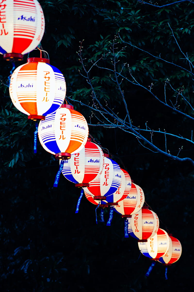 chinese lanterns, night, branches, HD phone wallpaper