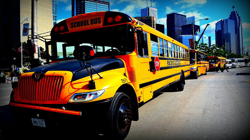 School bus, Yellow, Transport, School, Bus, HD wallpaper