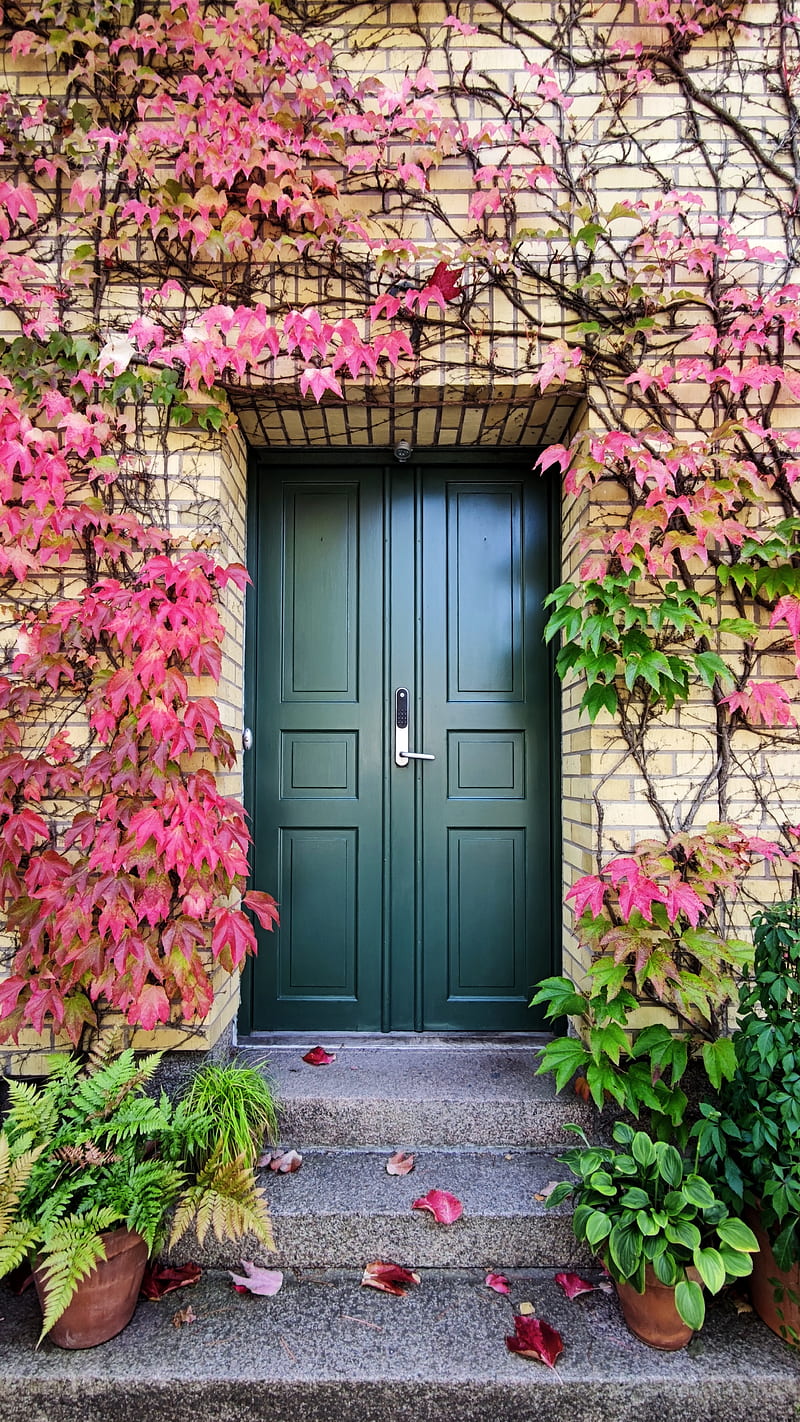 door, autumn, stairs, plants, HD phone wallpaper